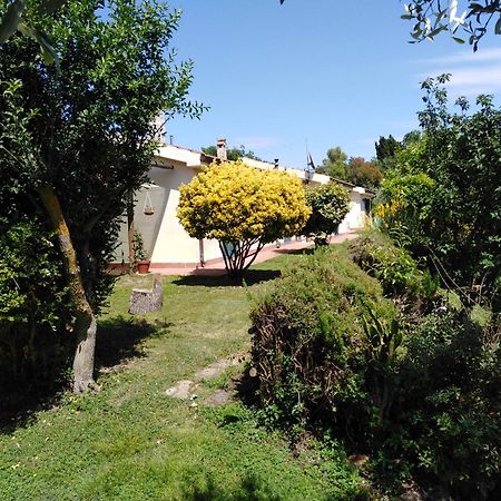 Agriturismo Le Colline Di Capalbio Exterior foto