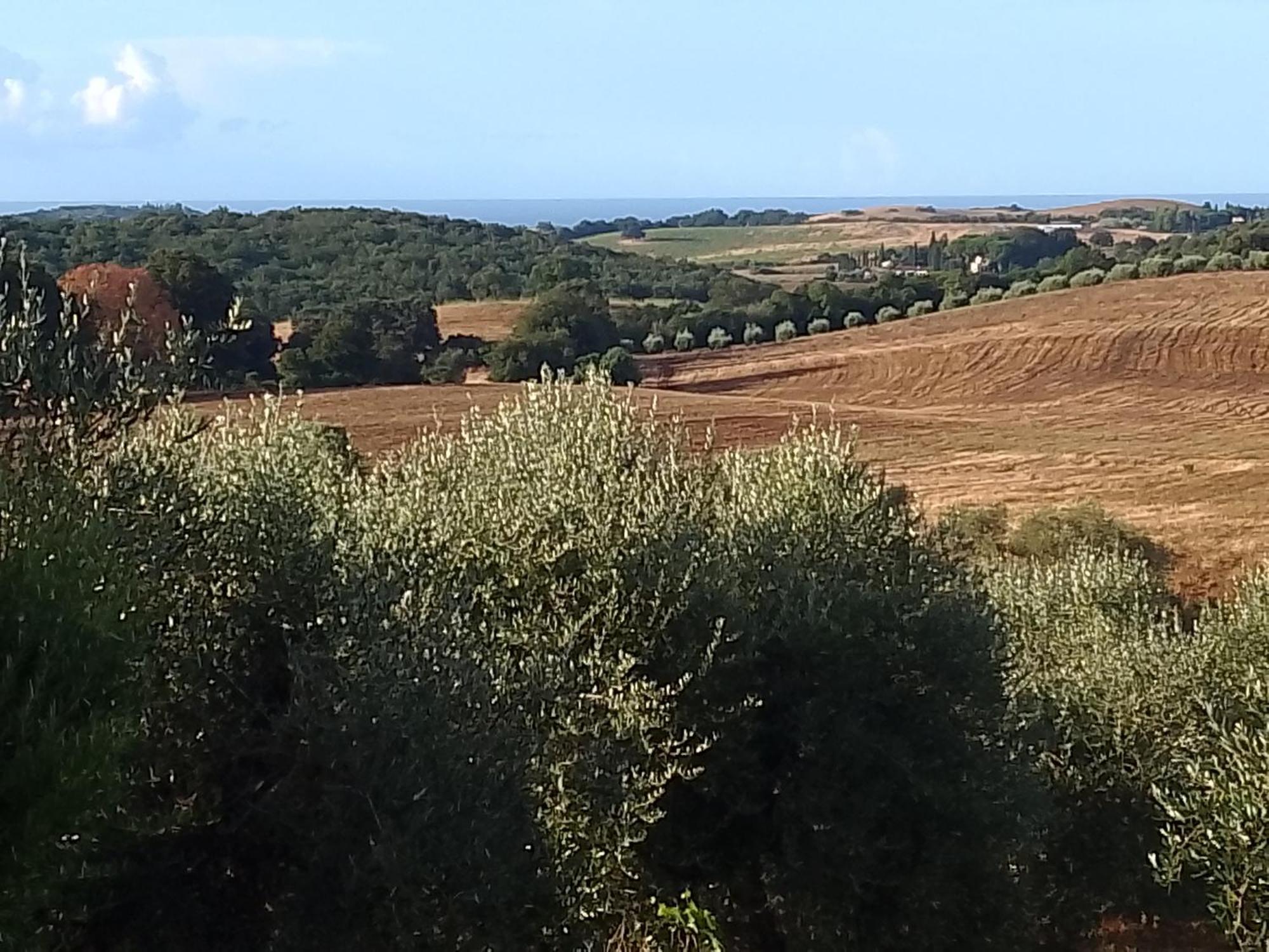Agriturismo Le Colline Di Capalbio Exterior foto